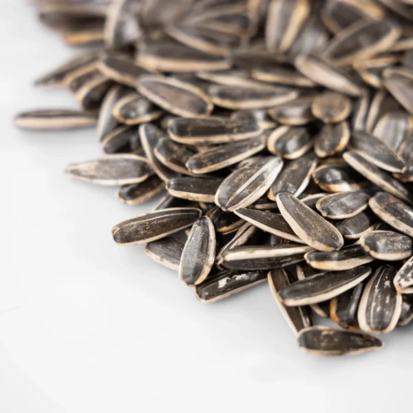 Sunflower Seeds